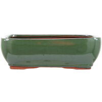 Bonsai pot 25.5x20x8cm green rectangular glaced