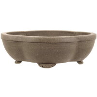 Bonsai pot 20x16x6.5cm grey other shape unglaced