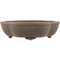 Bonsai pot 30.5x25.5x8.5cm grey other shape unglaced