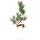 Japanese white pine, Prebonsai, 10 years, 52cm
