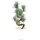 Sosna drobnokwiatowa, Prebonsai, 10 letnie, 56cm