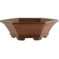 Bonsai pot 14.5x14.5x4.5cm Masteredition antique brown...