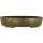 Bonsai pot 33x26.5x7.5cm olive oval unglaced