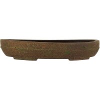 Bonsai pot 32x25x5.5cm darkbrown oval unglaced