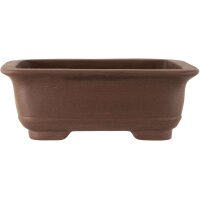 Bonsai pot 41x33x15cm dark-brown rectangular unglaced
