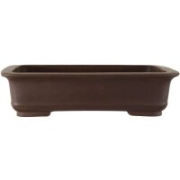 Bonsai pot 49.5x37x12.5cm dark-brown rectangular unglaced