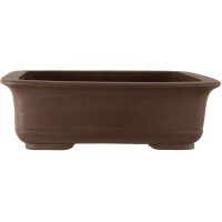 Bonsai pot 60.5x47x19.5cm dark-brown rectangular unglaced