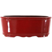 Bonsai pot 43.5x28x16cm ruby oval glaced