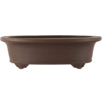 Bonsai pot 40x32x11.5cm dark-brown oval unglaced