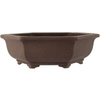Bonsai pot 36.5x32x11cm dark-brown hexagonal unglaced