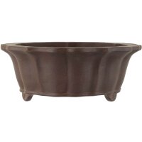 Bonsai pot 35.5x35.5x13.5cm dark-brown round unglaced