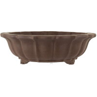 Bonsai pot 31x31x10cm dark-brown round unglaced