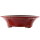 Bonsai pot 40x40x11.5cm ruby round glaced