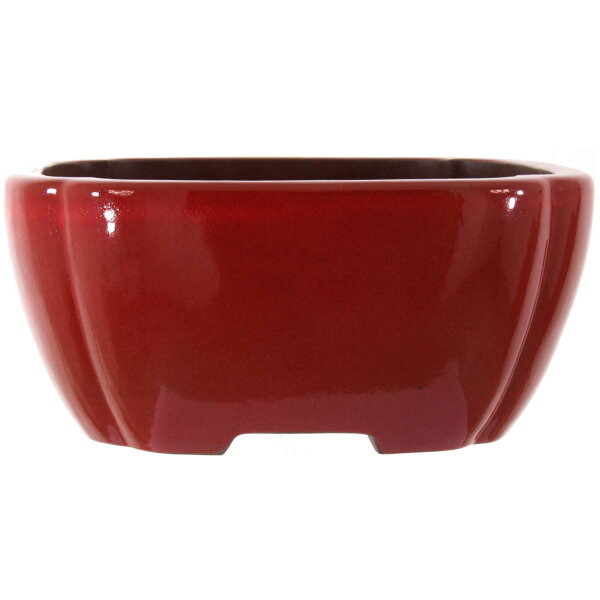 Bonsai pot 30.5x30.5x14cm ruby square glaced