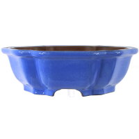Bonsai pot 38x38x12.5cm blue hexagonal glaced