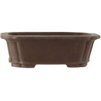 Bonsai pot 31.5x23x10cm dark-brown rectangular unglaced