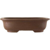 Bonsai pot 37x28.5x10cm dark-brown oval unglaced