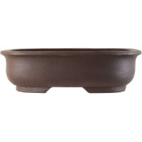 Bonsai pot 45x36x12.5cm dark-brown oval unglaced