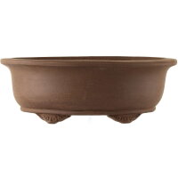 Bonsai pot 51x40x18cm dark-brown oval unglaced