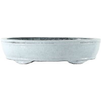 Bonsai pot 34.5x25.5x8cm white oval glaced