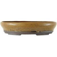 Bonsai pot 39.5x32.5x8.5cm light brown oval glaced