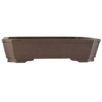 Bonsai pot 35x28x8cm dark-brown rectangular unglaced
