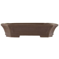 Bonsai pot 38x31x8.5cm dark-brown rectangular unglaced