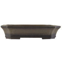 Bonsai pot 38.5x31x8.5cm antique-grey rectangular unglaced
