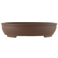 Bonsai pot 40x31.5x9.5cm dark-brown oval unglaced