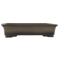 Bonsai pot 45.5x36.5x10.5cm antique-grey rectangular unglaced