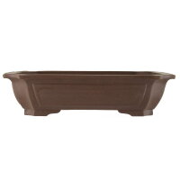 Bonsai pot 45.5x36x11cm dark-brown rectangular unglaced