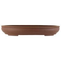 Bonsai pot 45x37x6.5cm brown oval unglaced