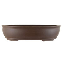 Bonsai pot 50.5x40.5x12cm dark-brown oval unglaced