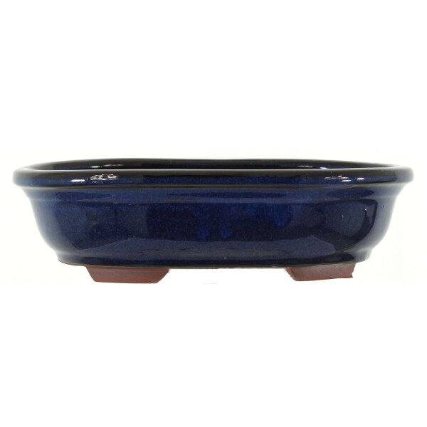 Bonsai pot 24.5x19x6.5cm blue-dark oval glaced