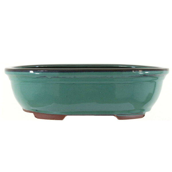 Bonsai pot 29.5x22.5x9cm bluegreen oval glaced