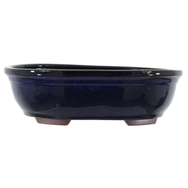 Bonsai pot 29x23x8.5cm blue-dark oval glaced