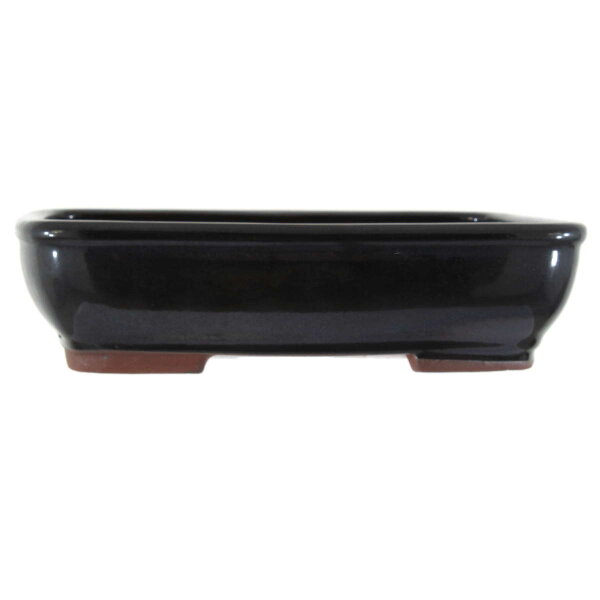 Bonsai pot 25x19x6.5cm black rectangular glaced
