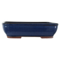 Bonsai pot 25.5x19.5x6.5cm blue-dark rectangular glaced