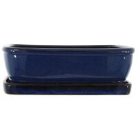 Bonsai pot with drip tray 24.5x21x8.5cm blue-dark rectangular glaced