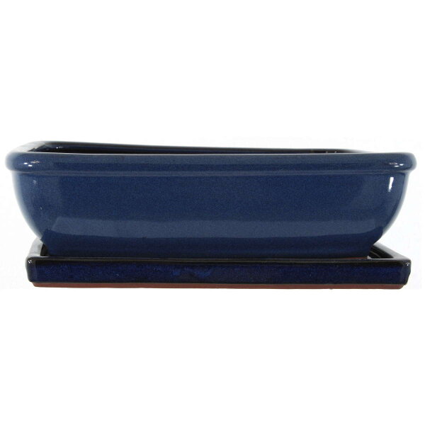 Bonsai pot with drip tray 31x25.5x9.5cm blue rectangular glaced