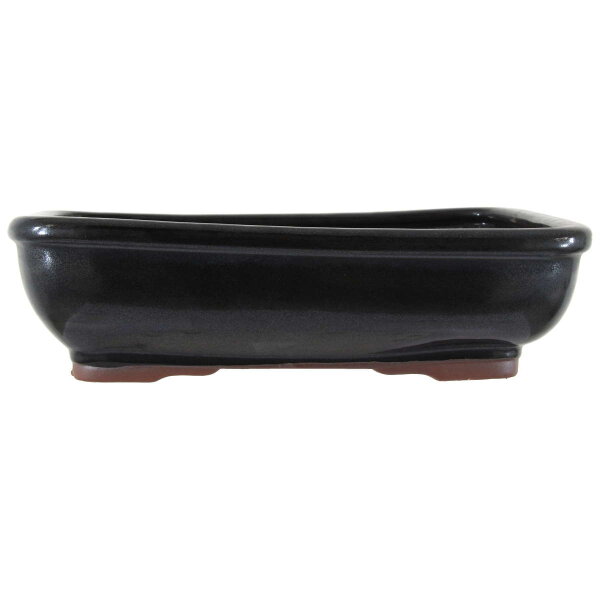 Bonsai pot 30.5x25x8.5cm black rectangular glaced