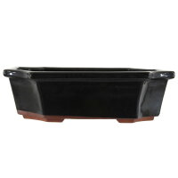 Bonsai pot 30x23.5x8.5cm black rectangular glaced