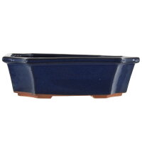 Bonsai pot 30x23.5x9cm blue-dark rectangular glaced