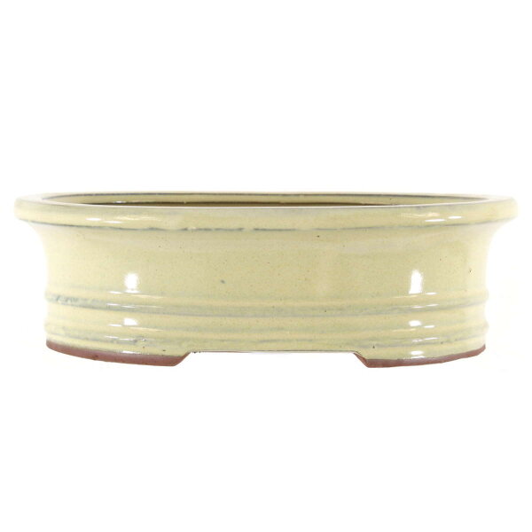 Bonsai pot 25x20.5x7.5cm white oval glaced