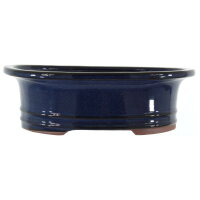 Pot à bonsaï 29.5x25x9.5cm bleu-foncé ovale en grès émaillé