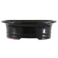 Pot à bonsaï 30x25x9.5cm noir ovale en grès émaillé