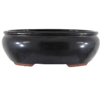 Bonsai pot 28.5x24x9.5cm black oval glaced