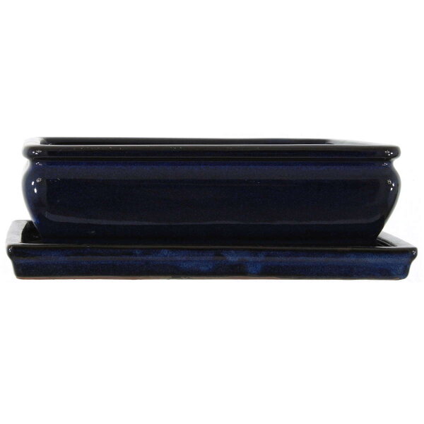 Bonsai pot with drip tray 24x19.5x8.5cm blue-dark rectangular glaced