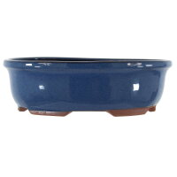 Bonsai pot 31x24.5x9.5cm blue oval glaced