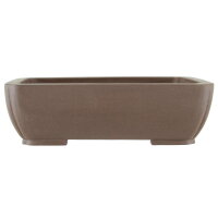 Bonsai pot 32.5x25x10cm dark-brown rectangular unglaced